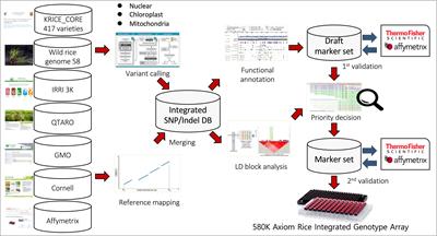 Development of an inclusive 580K SNP array and its application for genomic selection and genome-wide association studies in rice
